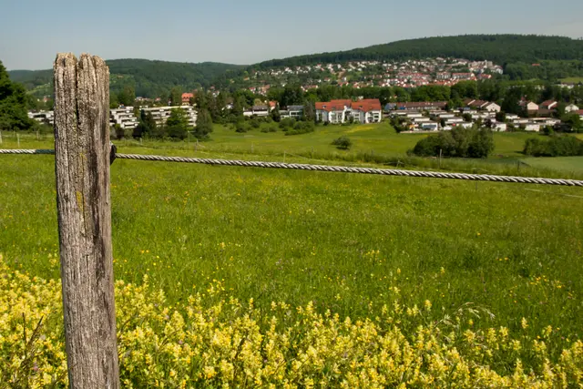 Blumenwiesen mit Zaun